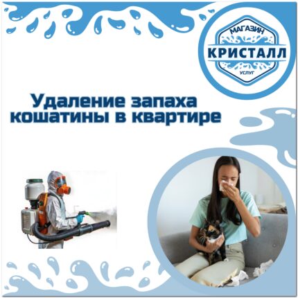 удаление запаха кошатины в квартире