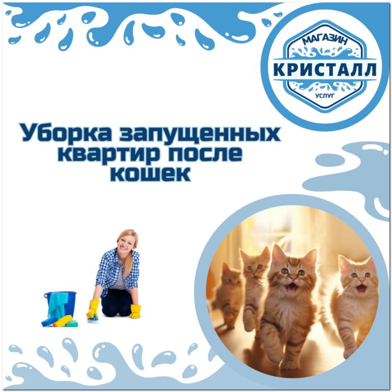 уборка квартир после кошек