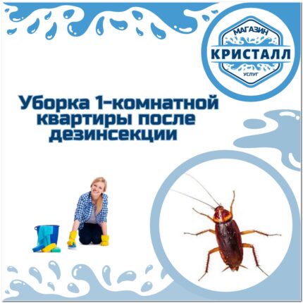 уборка 1-комнатных квартир после дезинсекции