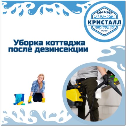 уборка коттеджей после дезинсекции