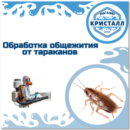 уничтожение тараканов в общежитии