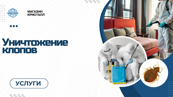 уничтожение клопов