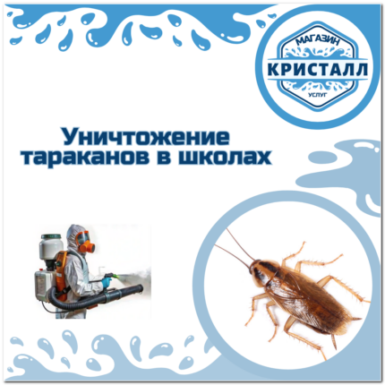 уничтожение тараканов в школах