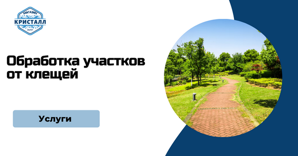 уничтожение клещей