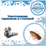 уничтожение тараканов в столовой