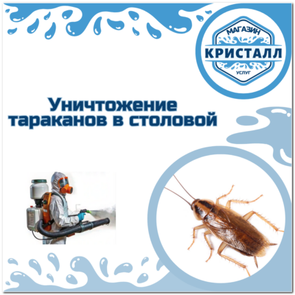 уничтожение тараканов в столовой