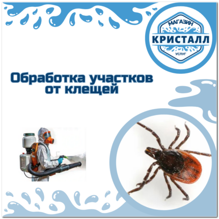 обработка участка от клещей